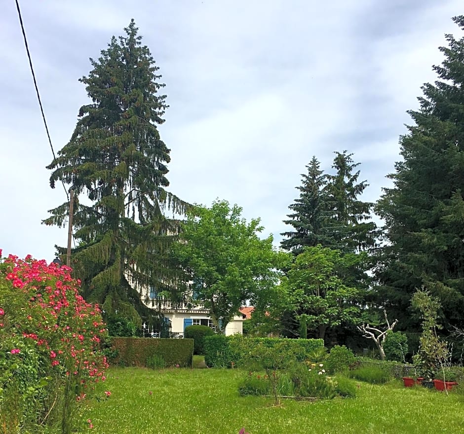 Les rêves d'Angèle