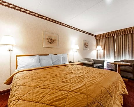 1 King Bed, Nonsmoking