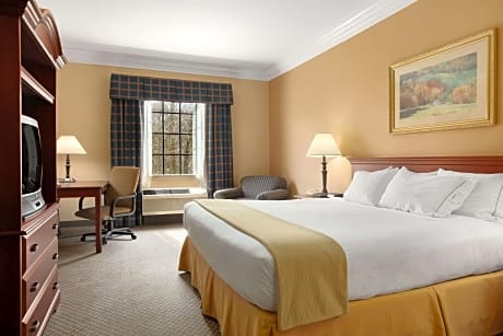 1 King Bed Deluxe Room Non-Smoking