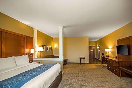 1 King Bed, Suite, Nonsmoking