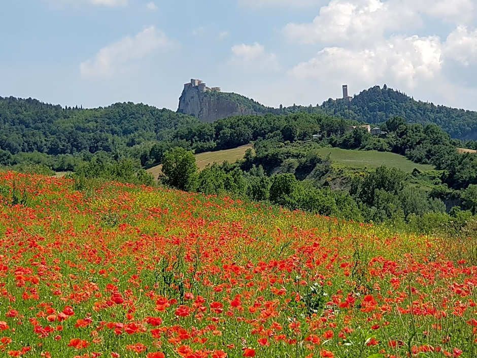 TERRALUNA Villa Vacanze San Leo - San Marino