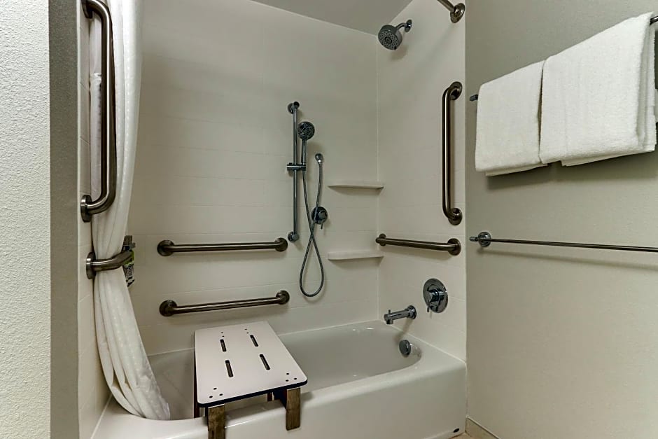 Holiday Inn Express & Suites - Roanoke – Civic Center