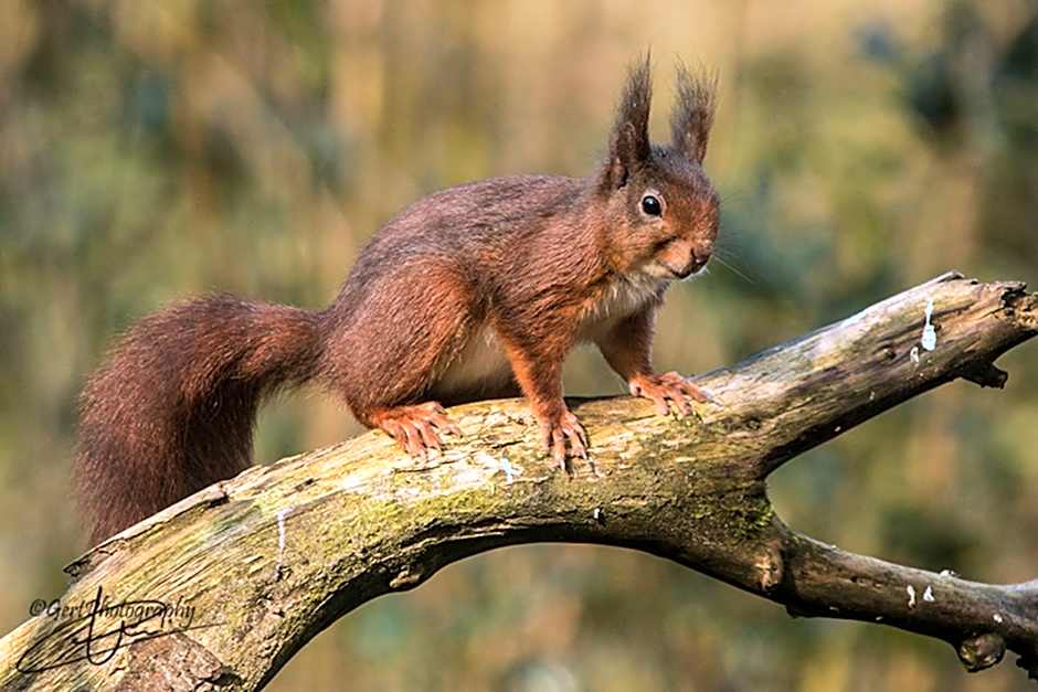 Hotel Restaurant Eeserhof