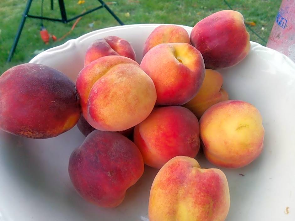 Swieże Poddasze u Przybyszów