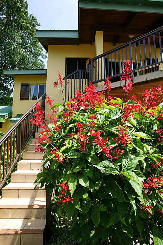 Poppy's on the Lagoon