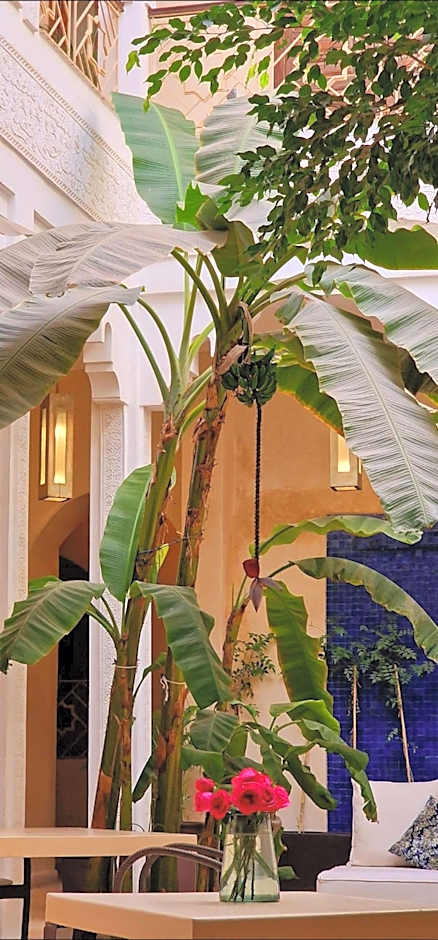 Riad de Vincent