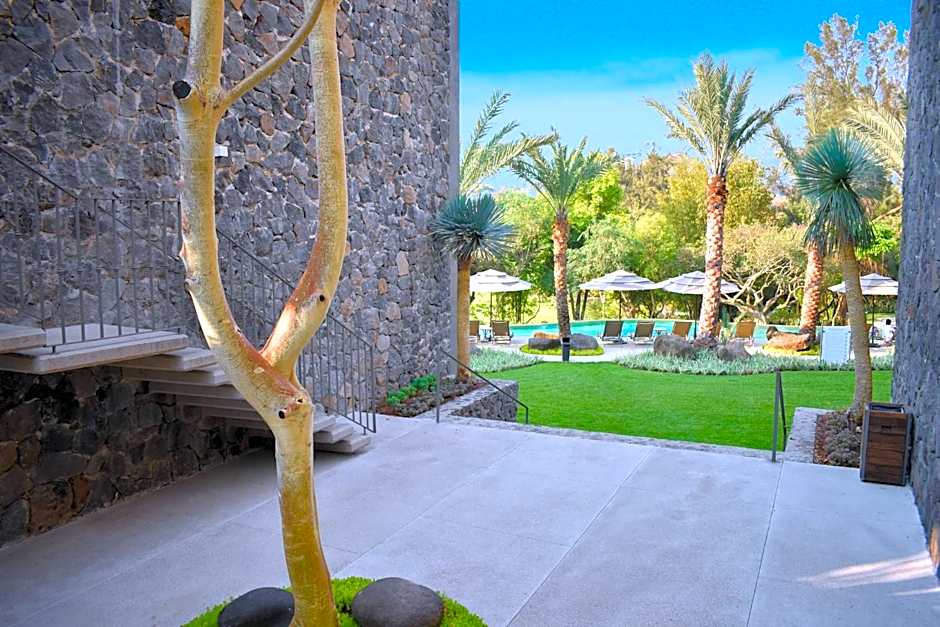 Huayacán Cuernavaca Curamoria Collection