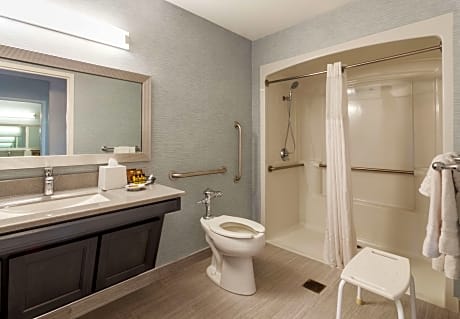 Accessible - 1 Queen Mobility Accessible Bathtub Refrigerator Wi-Fi Non-Smoking