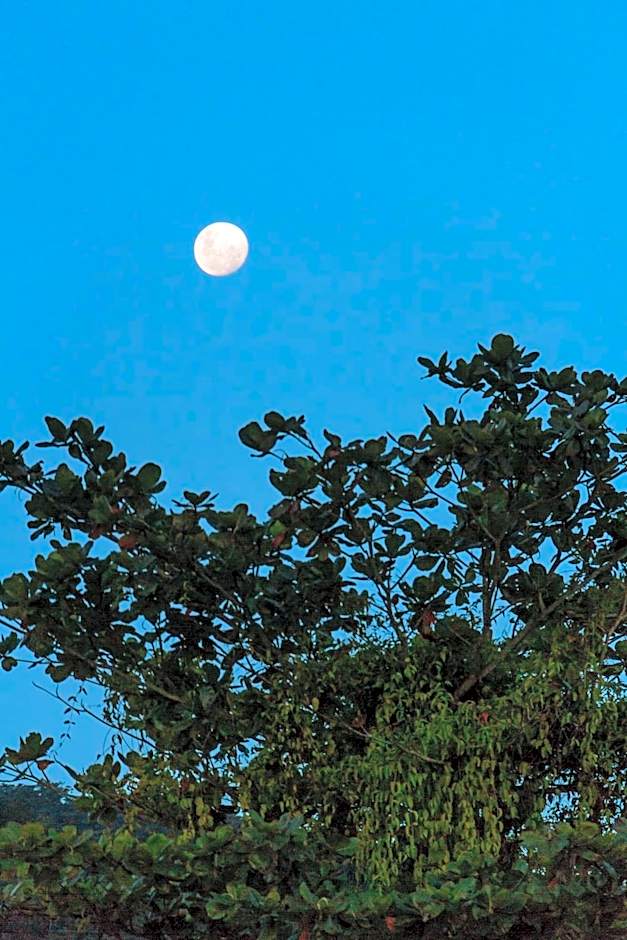 Greensoul Hospedagem