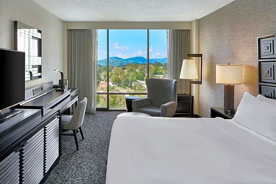 Renaissance Asheville Downtown Hotel