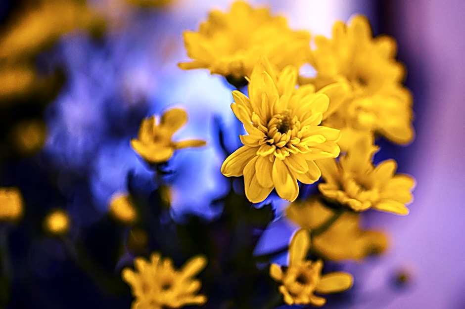 Foresteria Bergamo Bella B&B