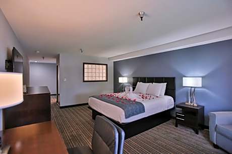 1 King Bed Non-Smoking Jacuzzi Refrigerator Wi-Fi