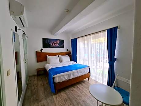 Double Room with Pool View