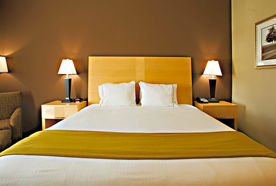 Holiday Inn Express Hotel and Suites Borger By IHG