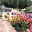 Hotel B&B Francolini