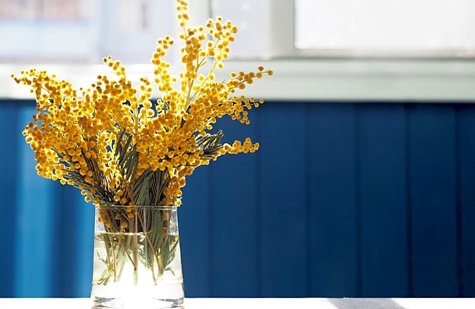 voco St Augustine Historic Area By IHG