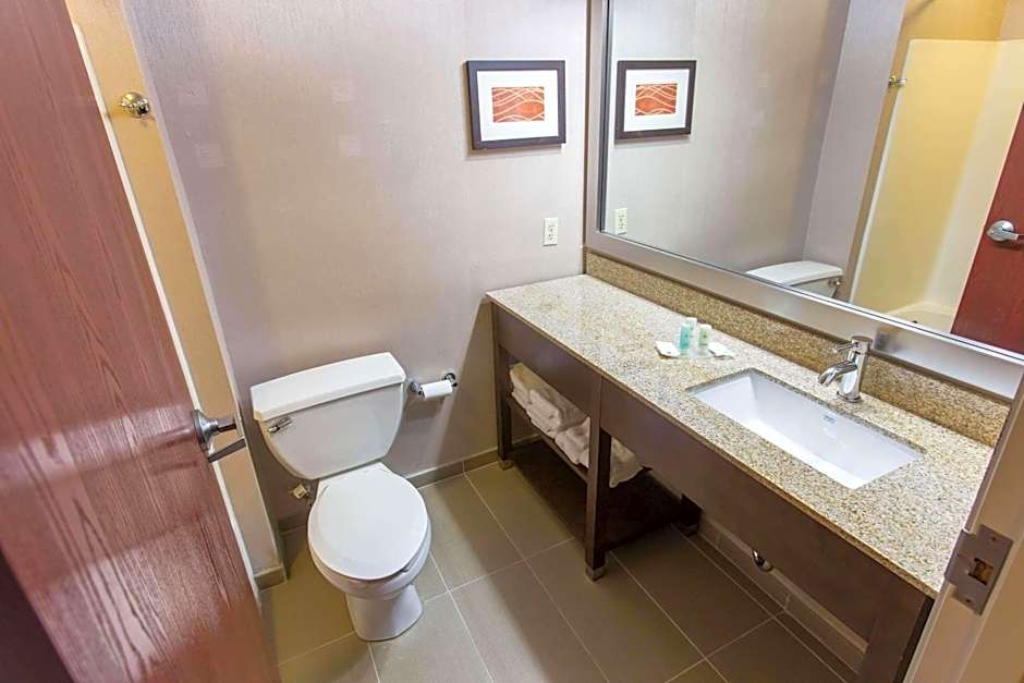 Comfort Inn Pittsburgh