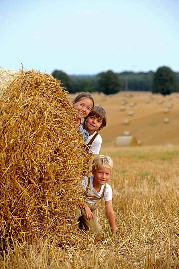 Golchener Hof - Familienhotel & Bauernhofurlaub in Mecklenburg