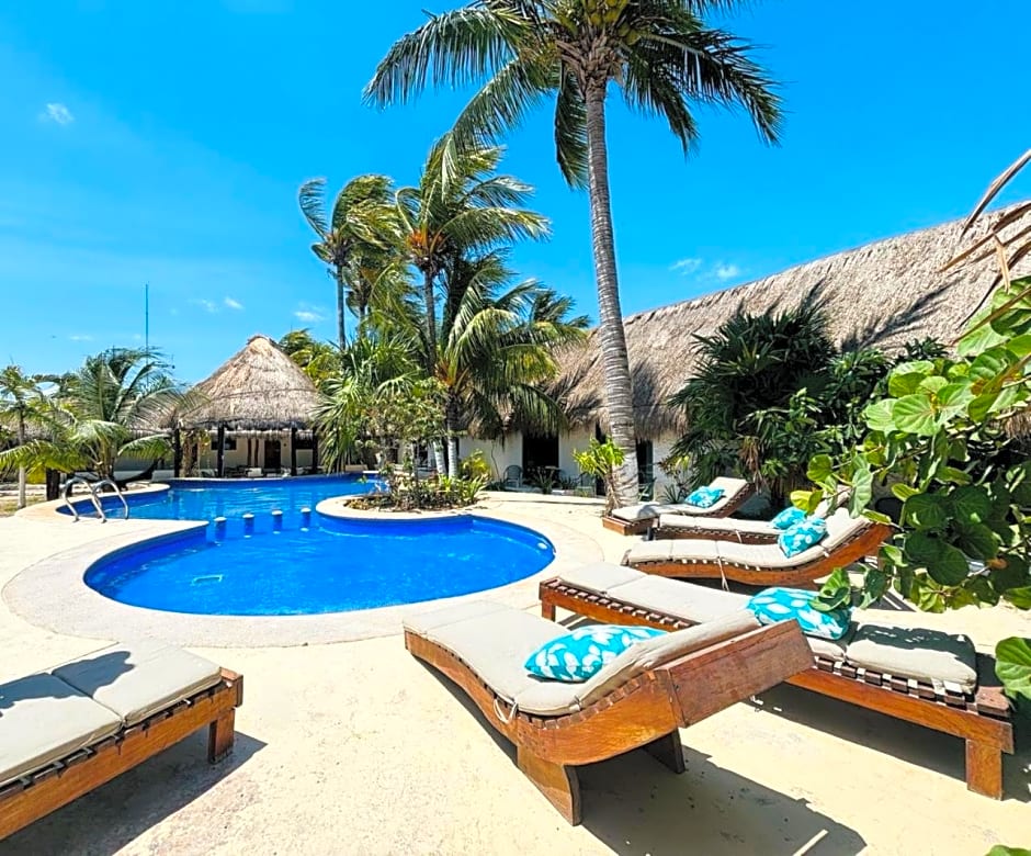 Mayan Mittoz