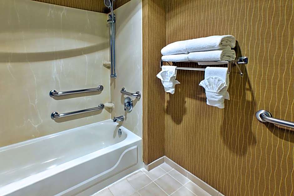 Holiday Inn & Suites Bolingbrook By IHG