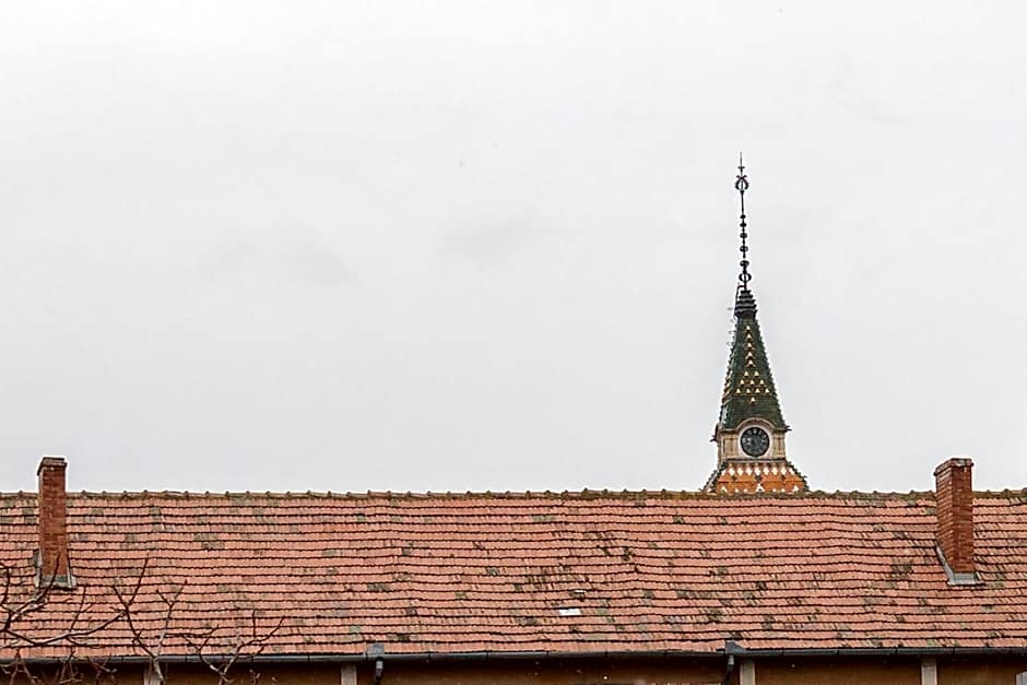 Pensiunea Select Central