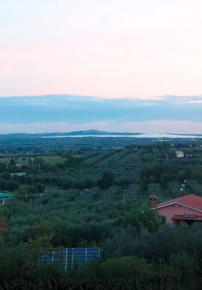 La staccionata bianca