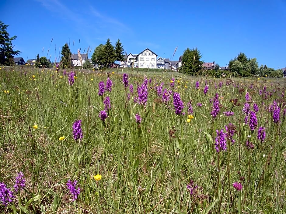 Hotel Schöne Aussicht