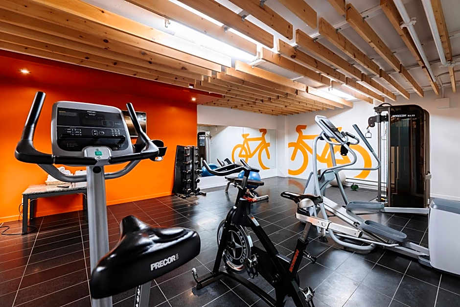 Le Dauphin MontrÃ©al-Longueuil