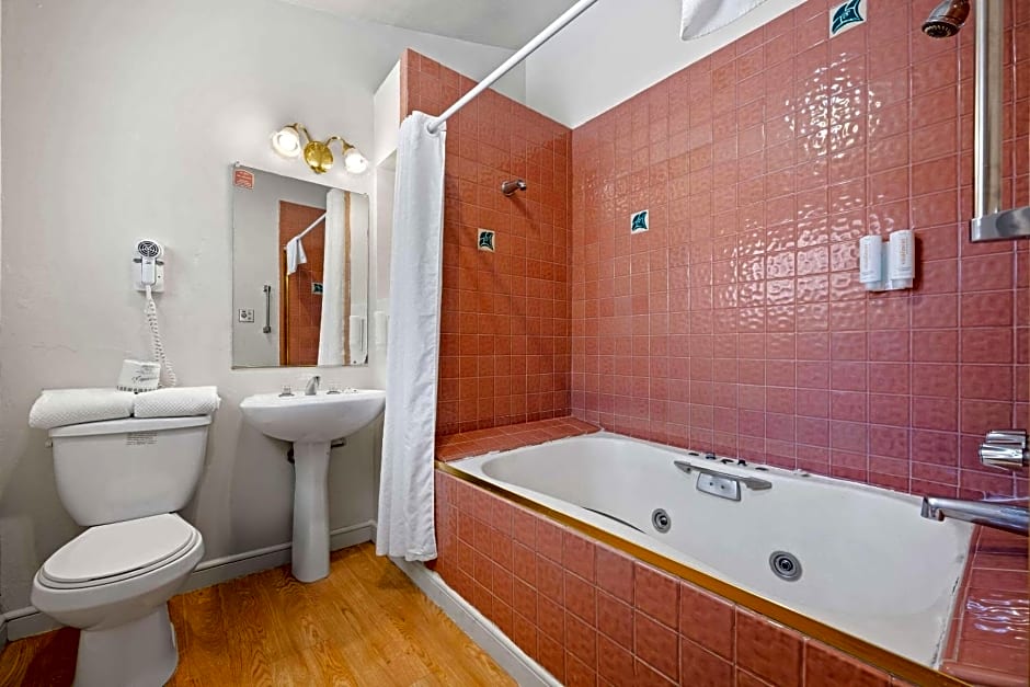 Econo Lodge Inn & Suites Heavenly Village Area