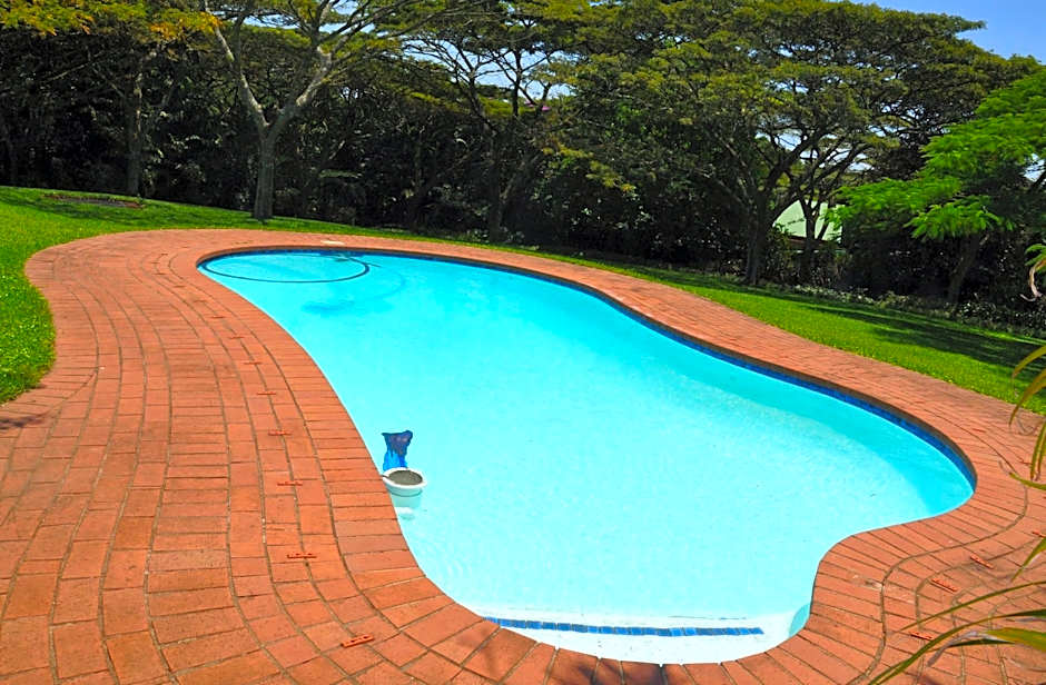 Birds Of Paradise B&b