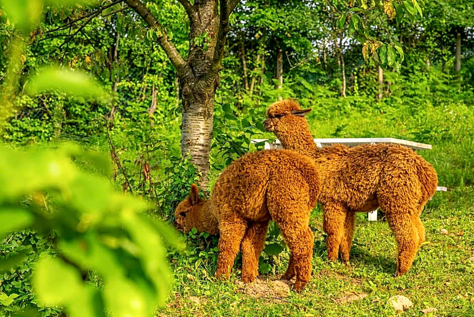 Alya Kartepe Villa Hotel