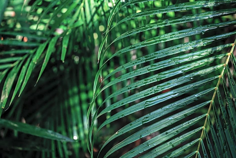 Icástico Tulum
