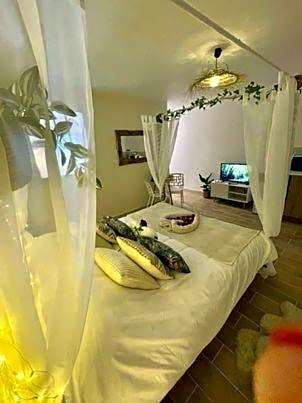 LOVER'S ROOM TROPIC