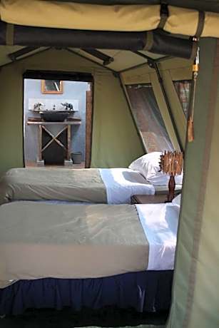 Warthogs Safari Camp