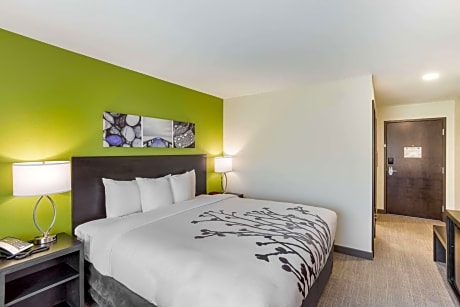 1 King Bed, Nonsmoking