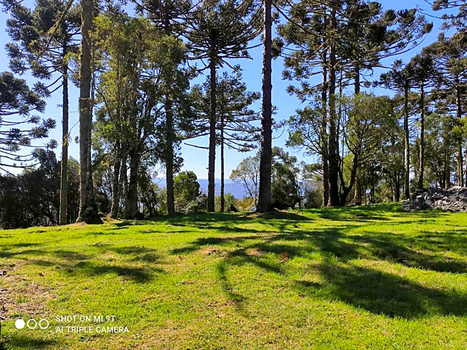 Cabanas das Araucárias