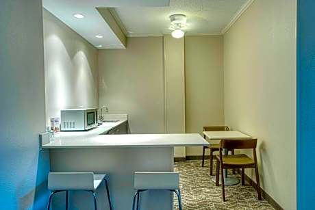 One-Bedroom Queen Suite with Sofa Bed