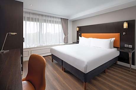 Deluxe King Roomwith View - High Floor