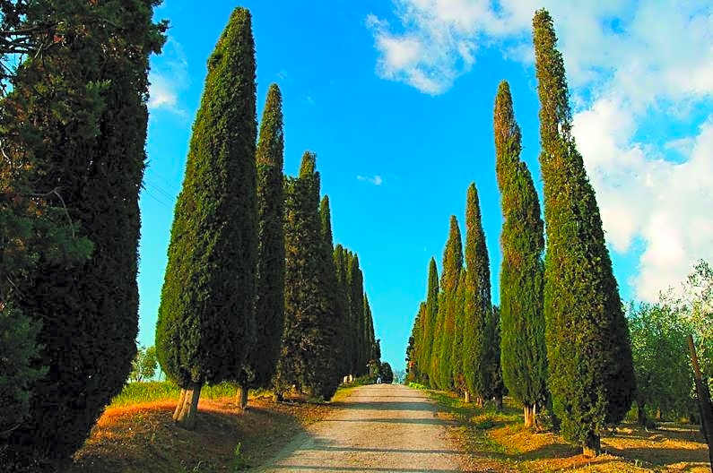 Le Traverse