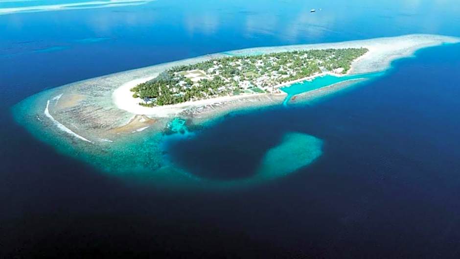 Turtle Maldives - Your Gateway to the Beach & Marine Adventures Await!