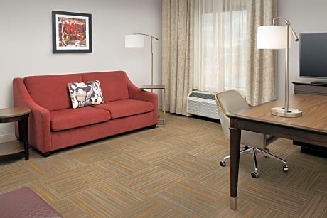 1 King Microwv/Fridge/Wet Bar Studio Suite Ns