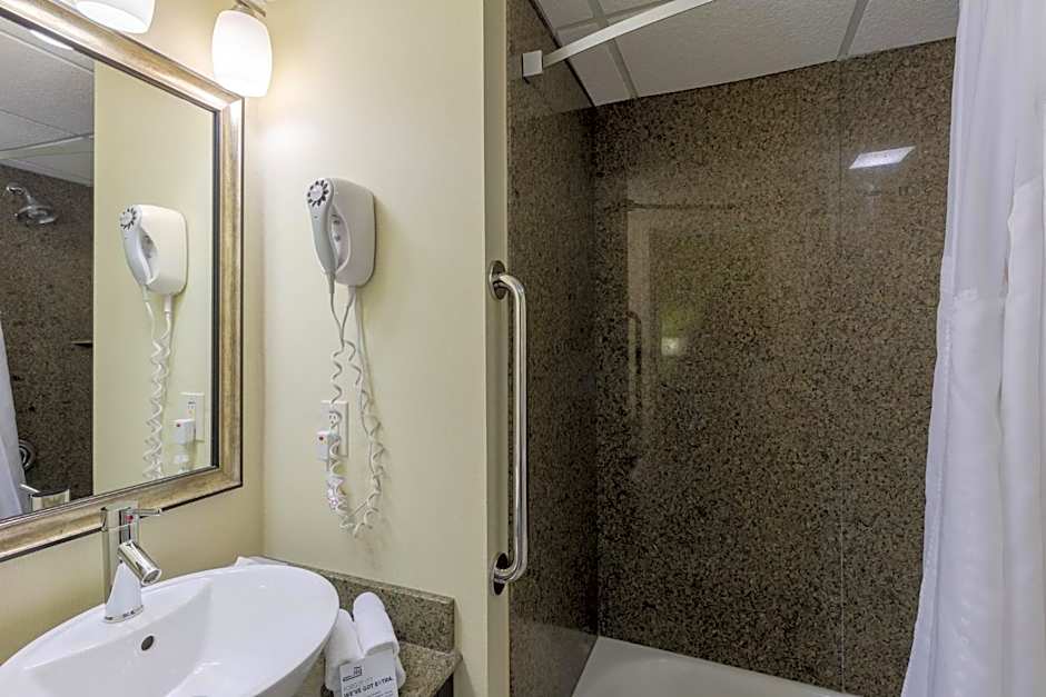 Holiday Inn Express & Suites - Atlanta Downtown By IHG