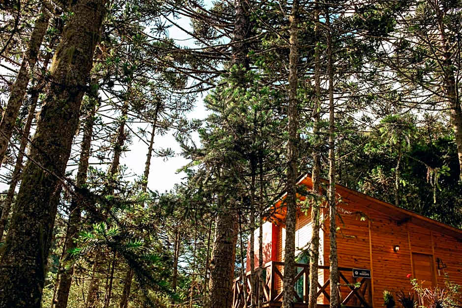 Pousada Cascata dos Amores