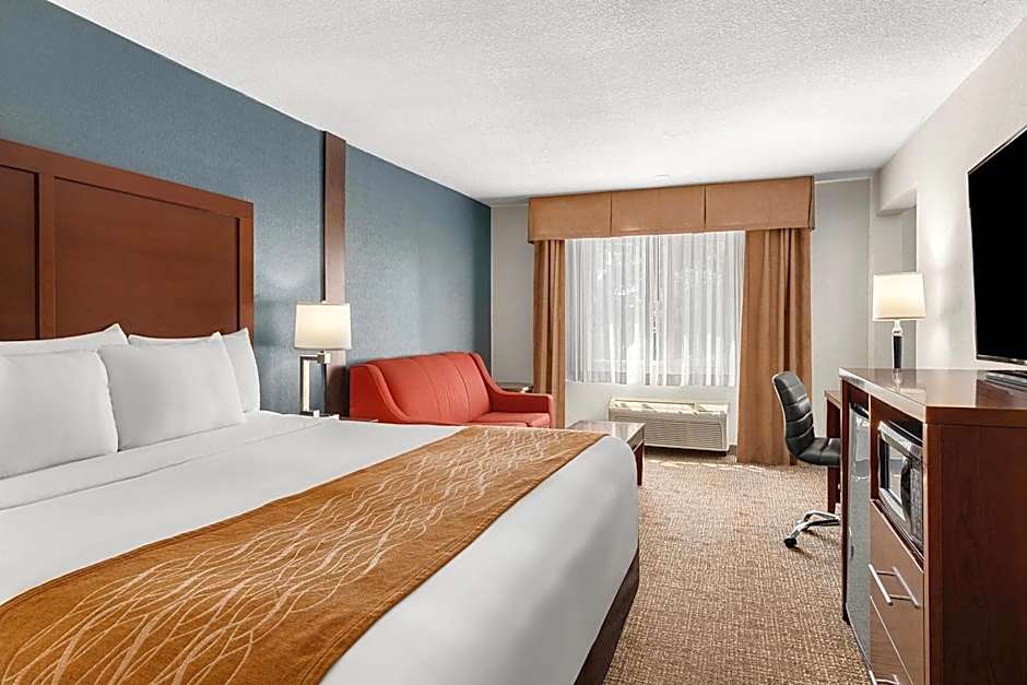 Comfort Inn & Suites Vancouver Downtown City Center
