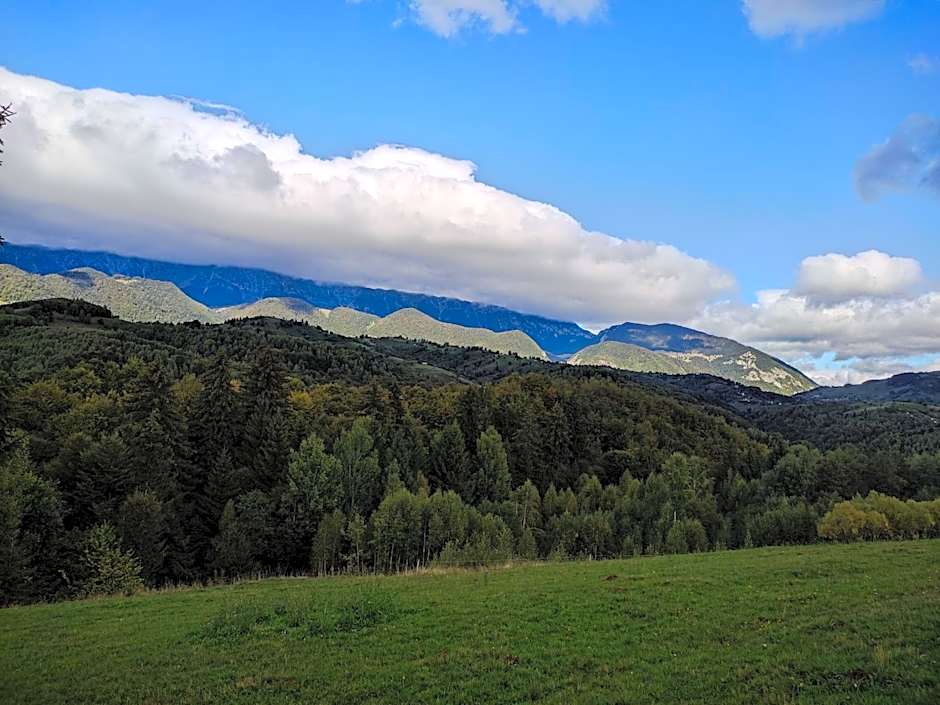 Cabana doi mesteceni