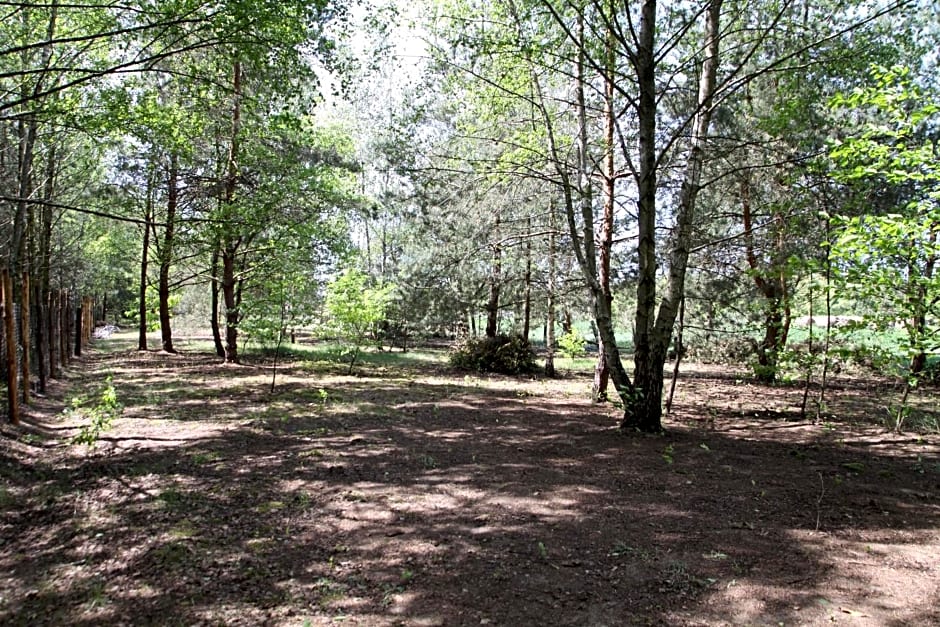 Dom imprezowy z noclegami Dziecinów