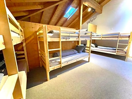 Single Bed in Mixed Dormitory Room (18-Beds)