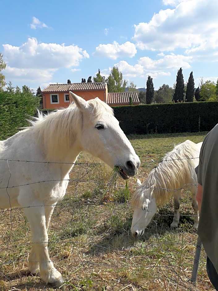 Le Mas Joséphine