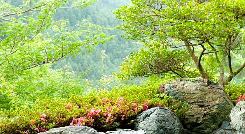 Iya Onsen Hotel Kazurabashi