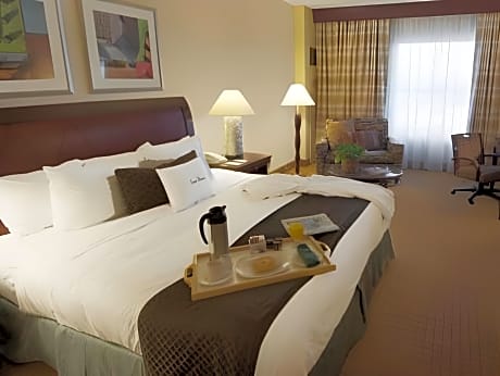 Non-Smoking King Room